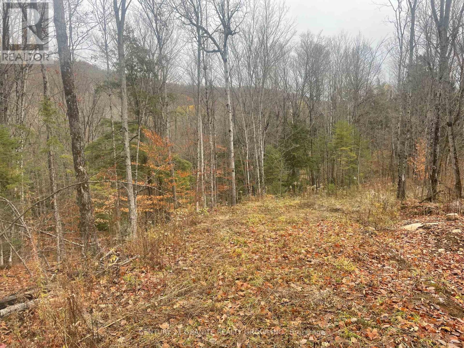 0 Snow Road, Bancroft (Bancroft Ward), Ontario  K0L 1C0 - Photo 3 - X12521898