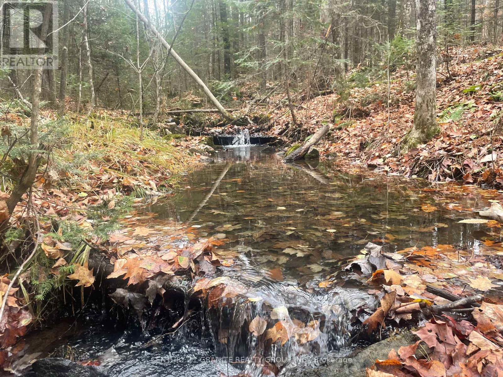 0 Snow Road, Bancroft (Bancroft Ward), Ontario  K0L 1C0 - Photo 5 - X12521898