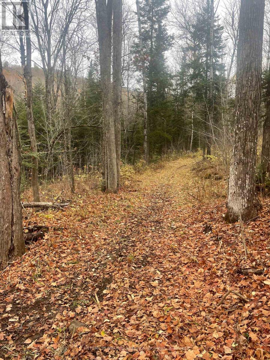 0 Snow Road, Bancroft (Bancroft Ward), Ontario  K0L 1C0 - Photo 8 - X12521898