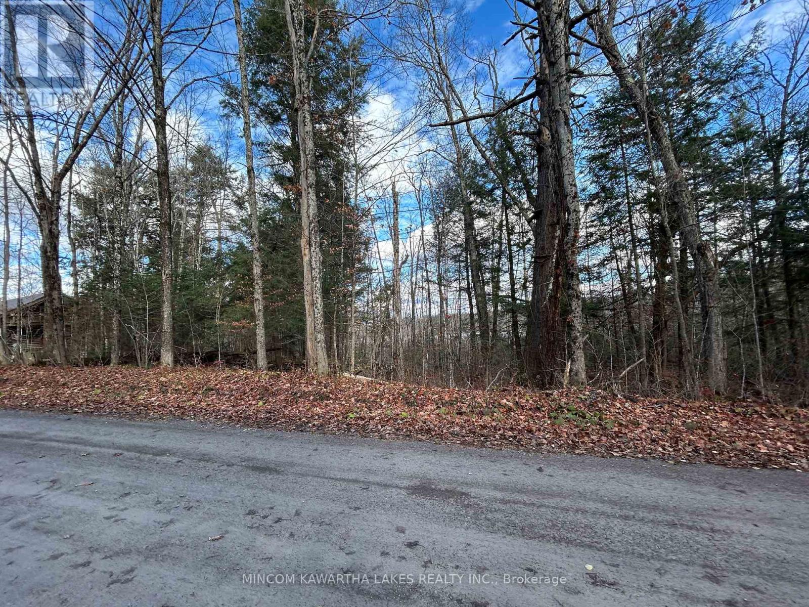 00 Mill Lake Road, North Kawartha, Ontario  K0L 1A0 - Photo 13 - X12523398