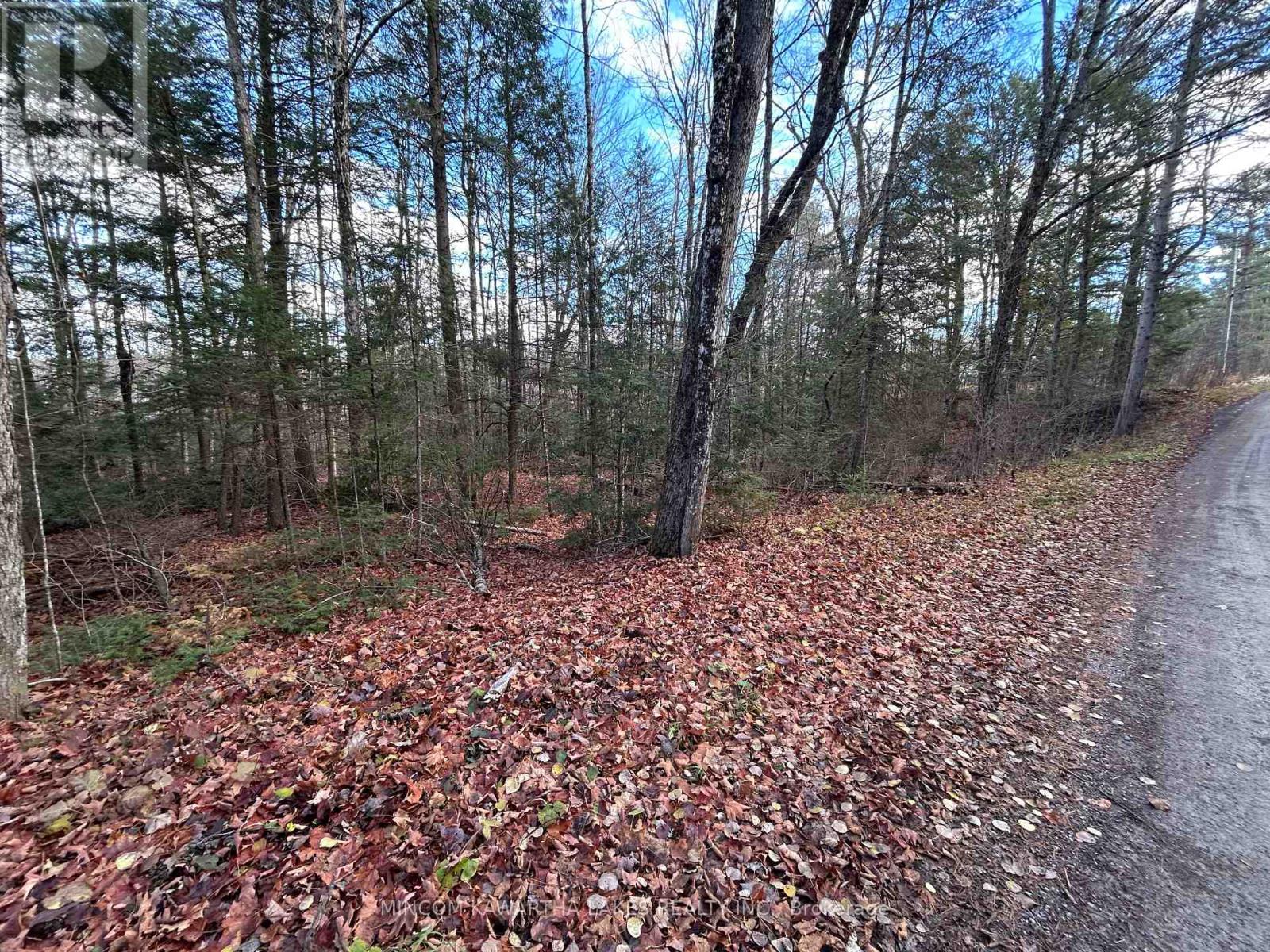 00 Mill Lake Road, North Kawartha, Ontario  K0L 1A0 - Photo 7 - X12523398