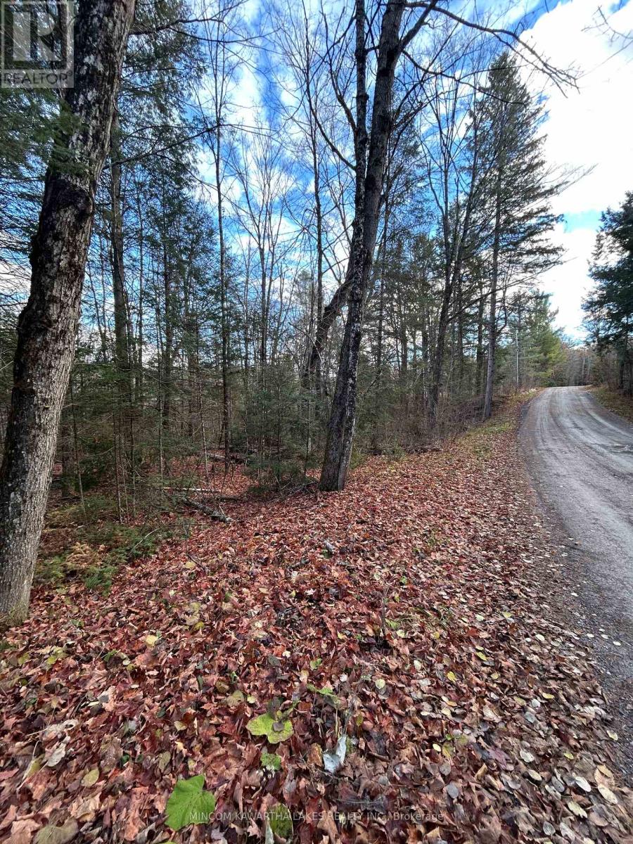 0 Mill Lake Road, North Kawartha, Ontario  K0L 1A0 - Photo 11 - X12523402