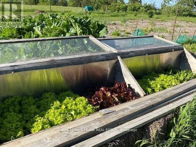 3071 5th Line E, Trent Hills (Campbellford), Ontario  K0L 1L0 - Photo 31 - X12523528