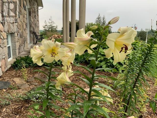 3071 5th Line E, Trent Hills (Campbellford), Ontario  K0L 1L0 - Photo 39 - X12523528