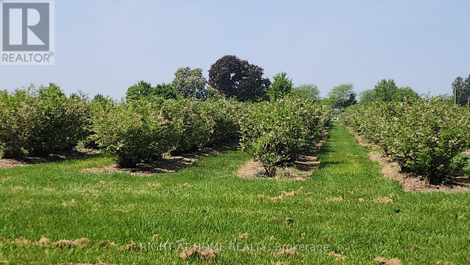 2853 Bellwood Drive, Clarington, Ontario  L1B 0L5 - Photo 10 - E12533770