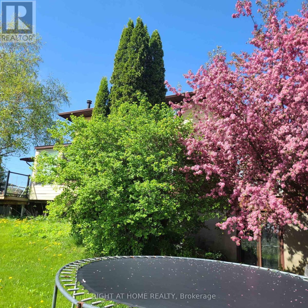 2853 Bellwood Drive, Clarington, Ontario  L1B 0L5 - Photo 4 - E12533770