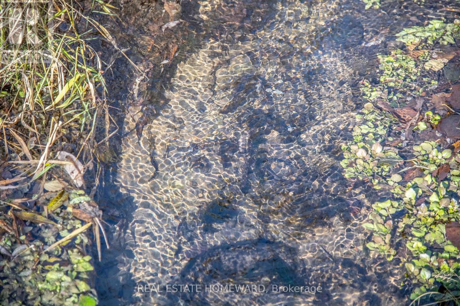 7257 Soper Road, Clarington, Ontario  L0A 1E0 - Photo 10 - E12535474