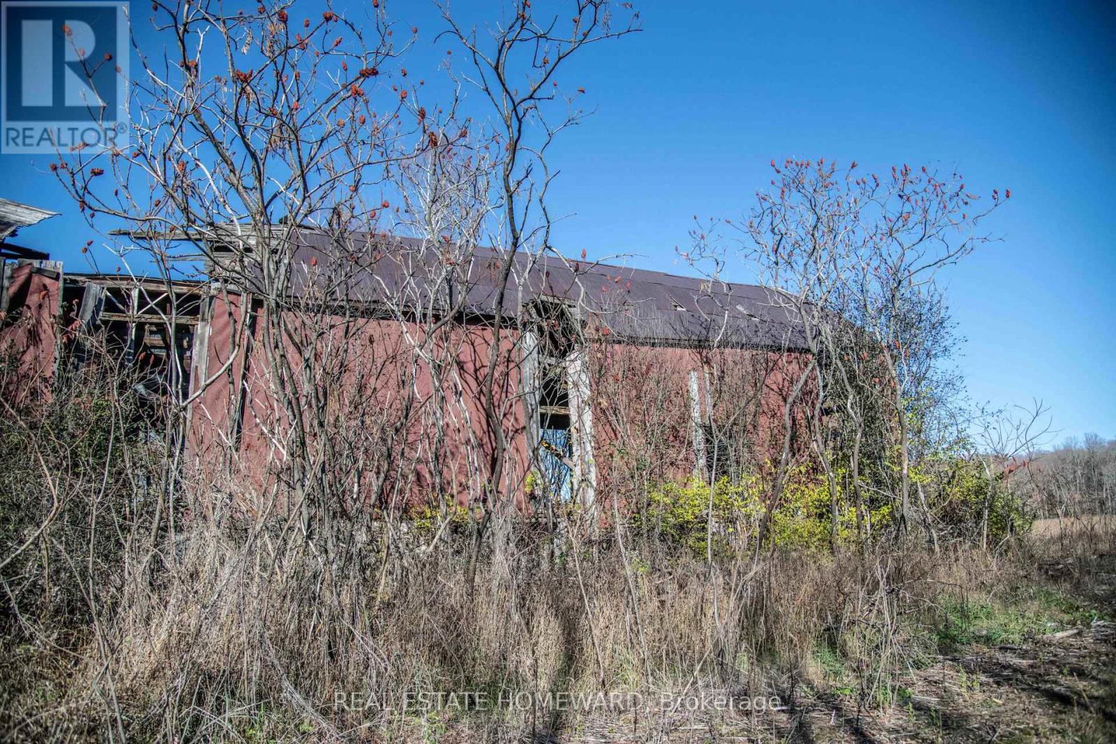 7257 Soper Road, Clarington, Ontario  L0A 1E0 - Photo 11 - E12535474