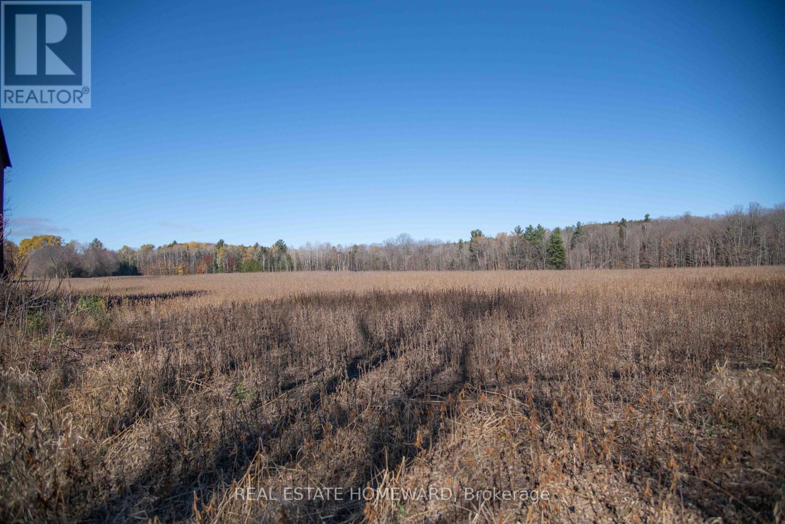 7257 Soper Road, Clarington, Ontario  L0A 1E0 - Photo 15 - E12535474