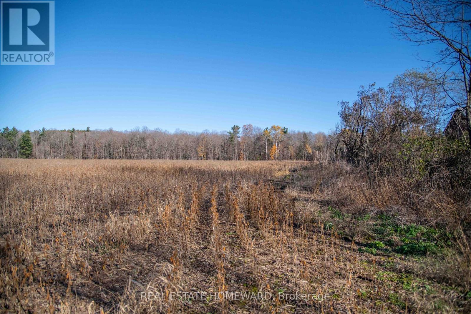 7257 Soper Road, Clarington, Ontario  L0A 1E0 - Photo 16 - E12535474