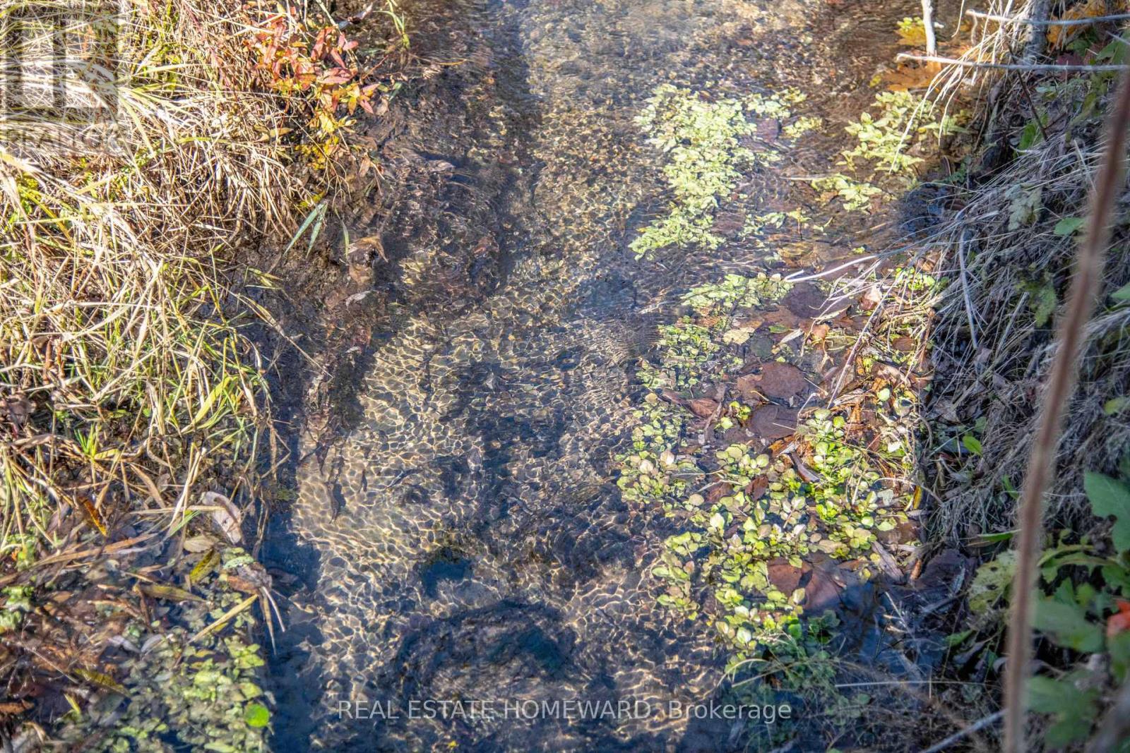 7257 Soper Road, Clarington, Ontario  L0A 1E0 - Photo 23 - E12535474