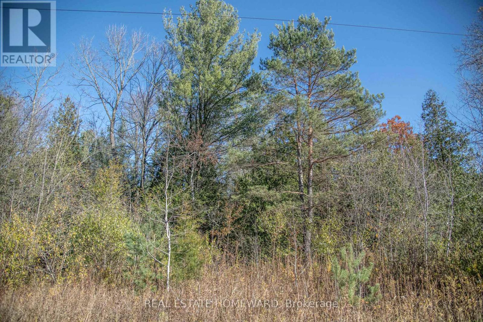 7257 Soper Road, Clarington, Ontario  L0A 1E0 - Photo 40 - E12535474