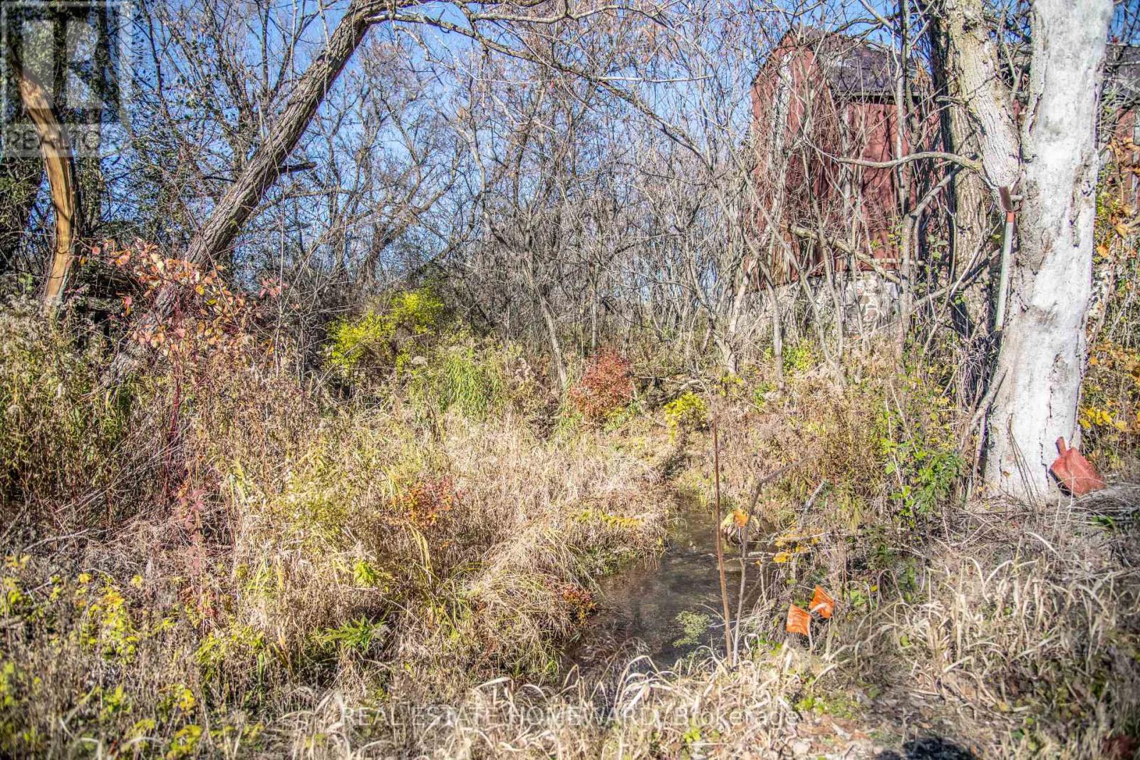 7257 Soper Road, Clarington, Ontario  L0A 1E0 - Photo 8 - E12535474