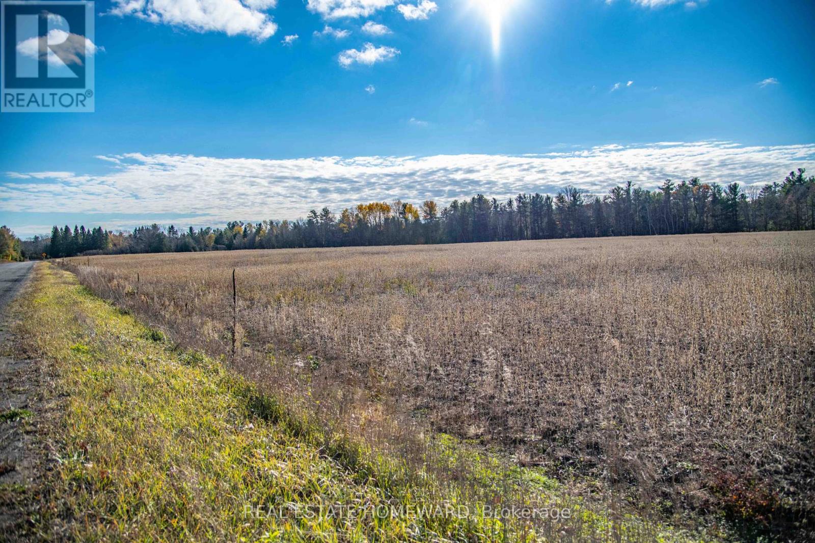 4856 Cold Springs Camp Road, Clarington, Ontario  L0A 1B0 - Photo 5 - E12535486
