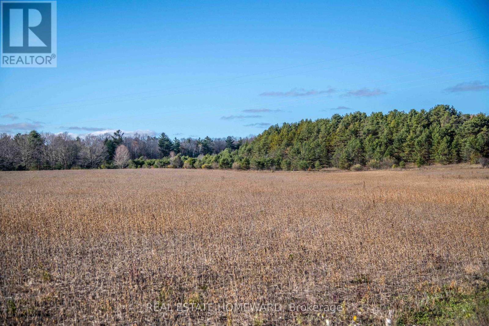 4856 Cold Springs Camp Road, Clarington, Ontario  L0A 1B0 - Photo 6 - E12535486