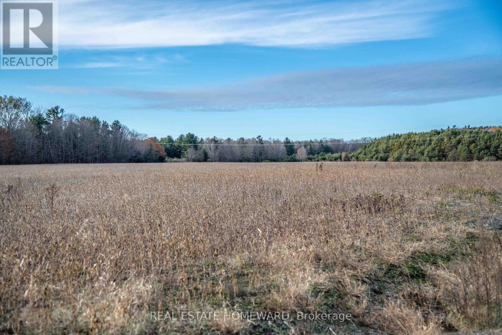 4856 Cold Springs Camp Road, Clarington, Ontario  L0A 1B0 - Photo 7 - E12535486