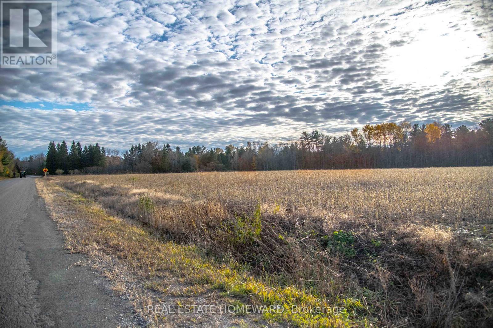 4856 Cold Springs Camp Road, Clarington, Ontario  L0A 1B0 - Photo 8 - E12535486