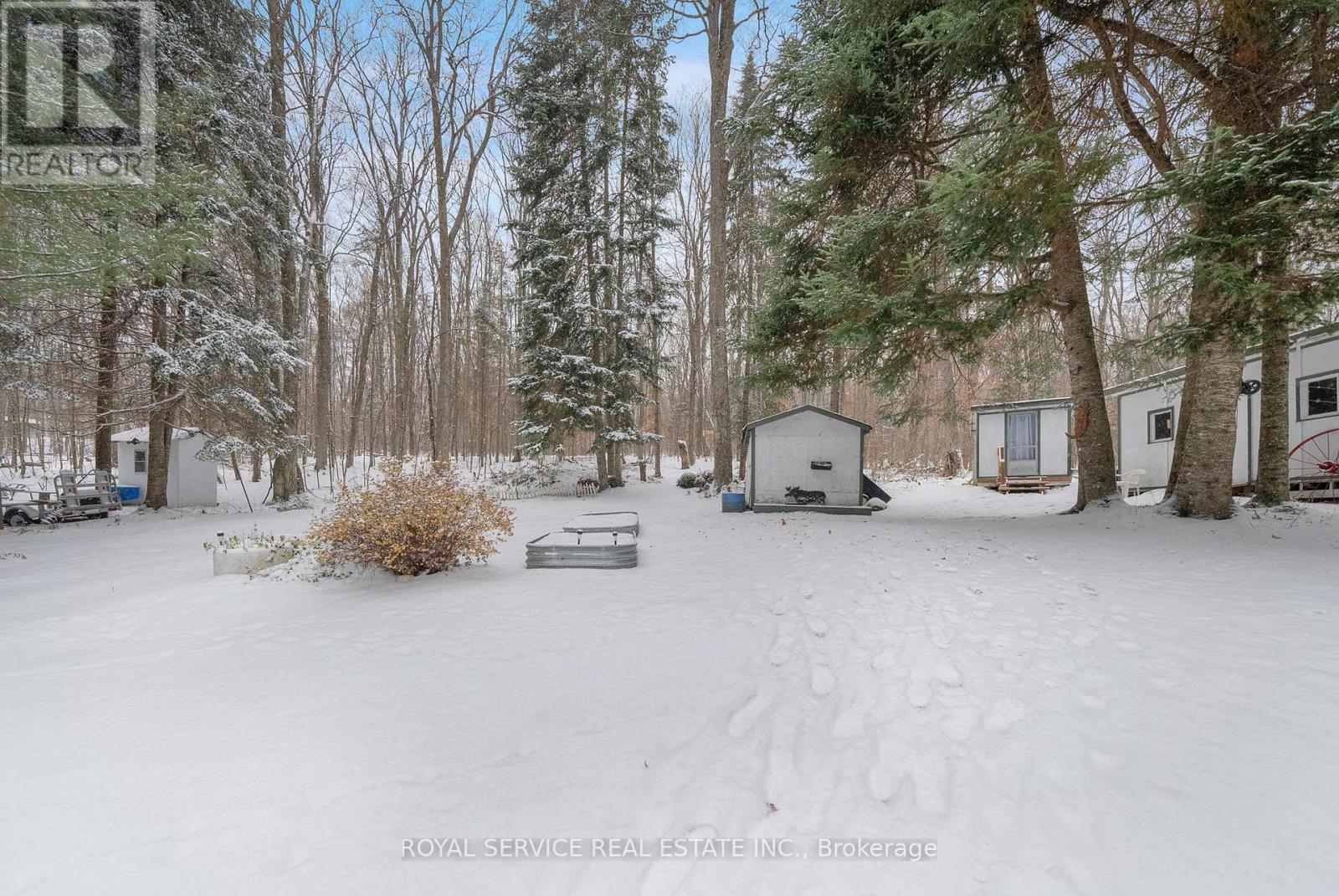 1039 Grace River Road, Highlands East (Monmouth), Ontario  K0L 3C0 - Photo 27 - X12536296