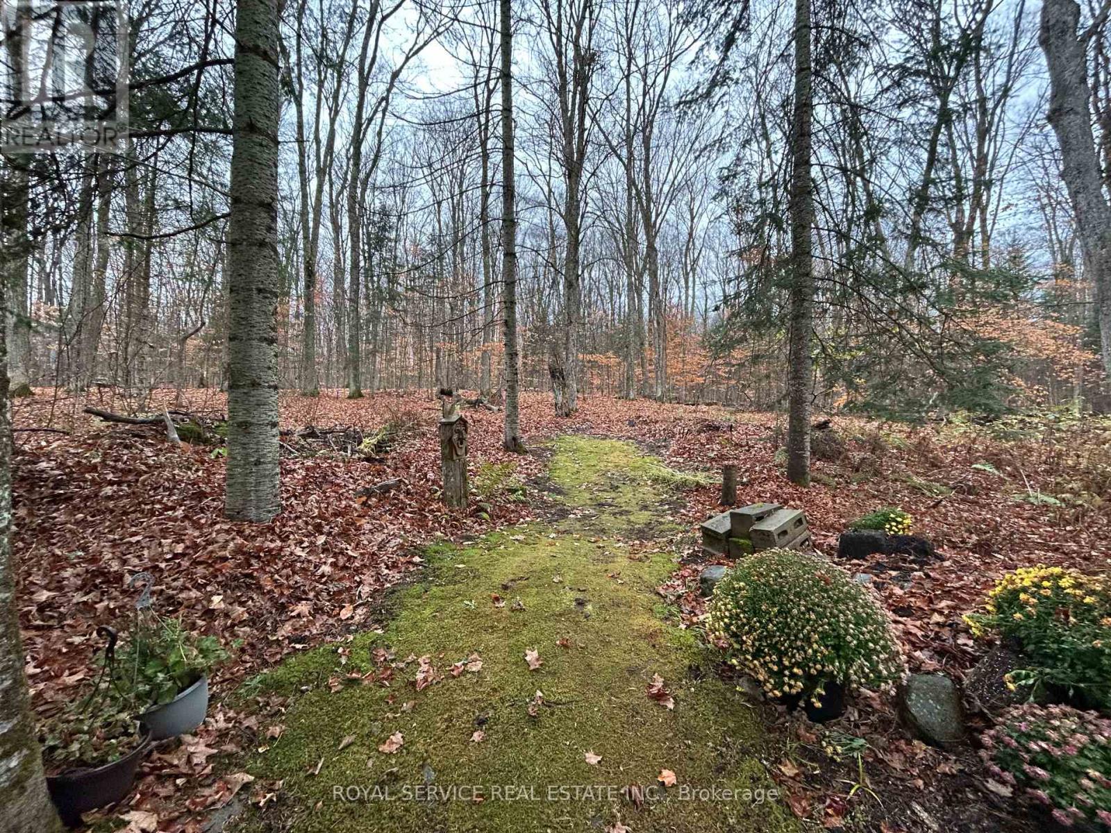 1039 Grace River Road, Highlands East (Monmouth), Ontario  K0L 3C0 - Photo 33 - X12536296