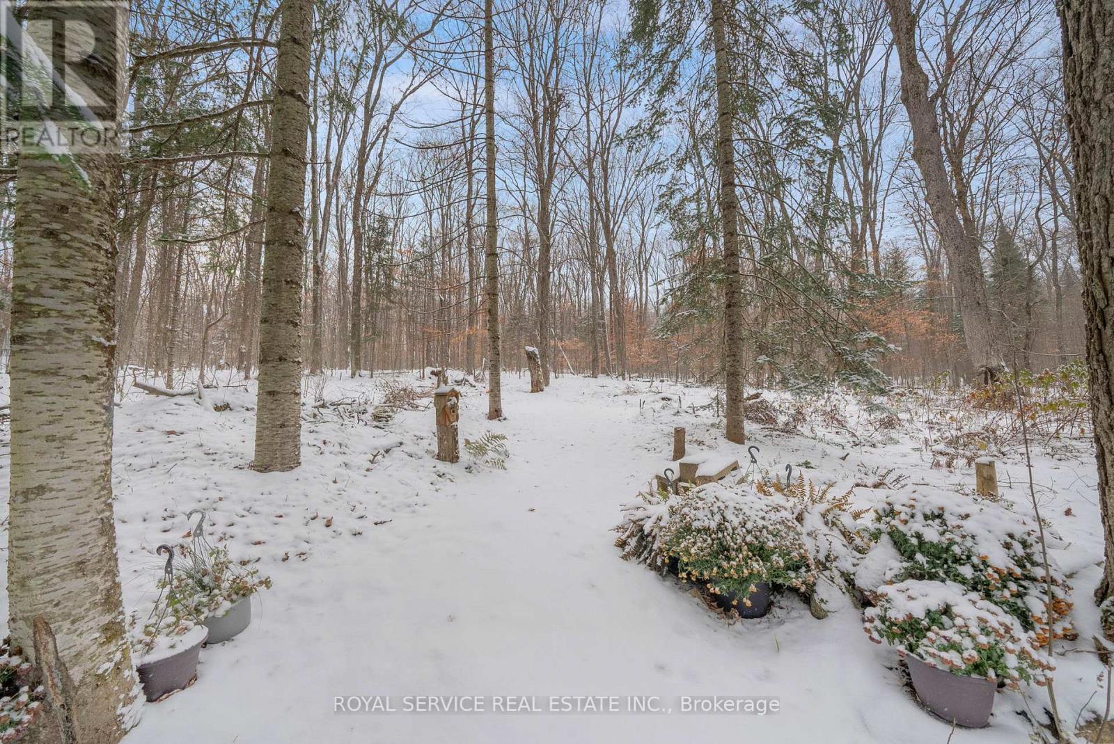 1039 Grace River Road, Highlands East (Monmouth), Ontario  K0L 3C0 - Photo 34 - X12536296