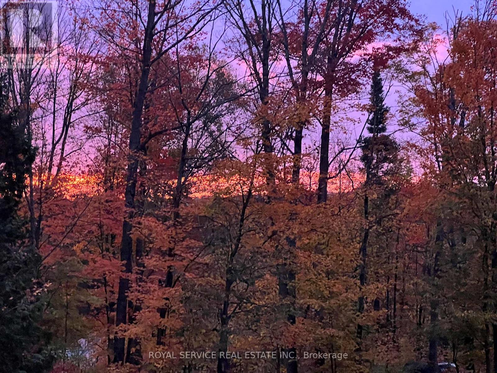 1039 Grace River Road, Highlands East (Monmouth), Ontario  K0L 3C0 - Photo 39 - X12536296