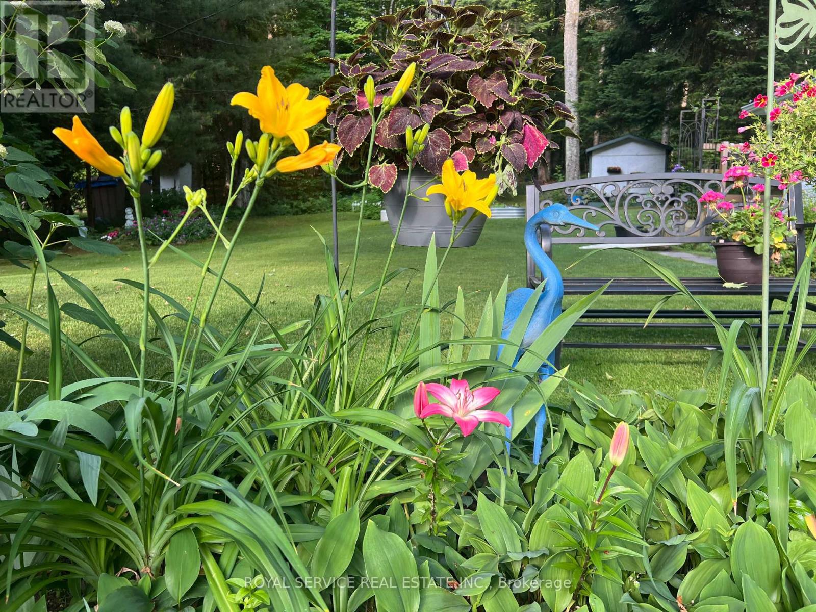 1039 Grace River Road, Highlands East (Monmouth), Ontario  K0L 3C0 - Photo 4 - X12536296