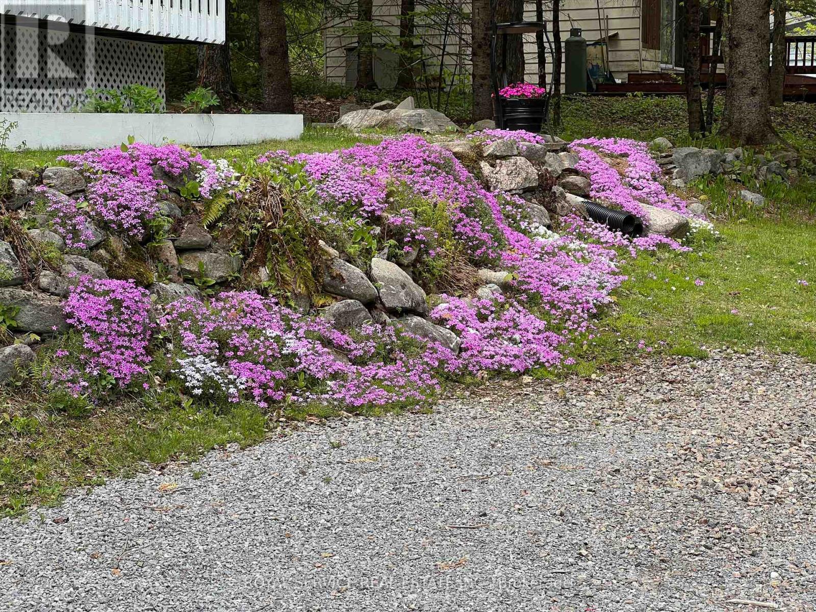 1039 Grace River Road, Highlands East (Monmouth), Ontario  K0L 3C0 - Photo 42 - X12536296