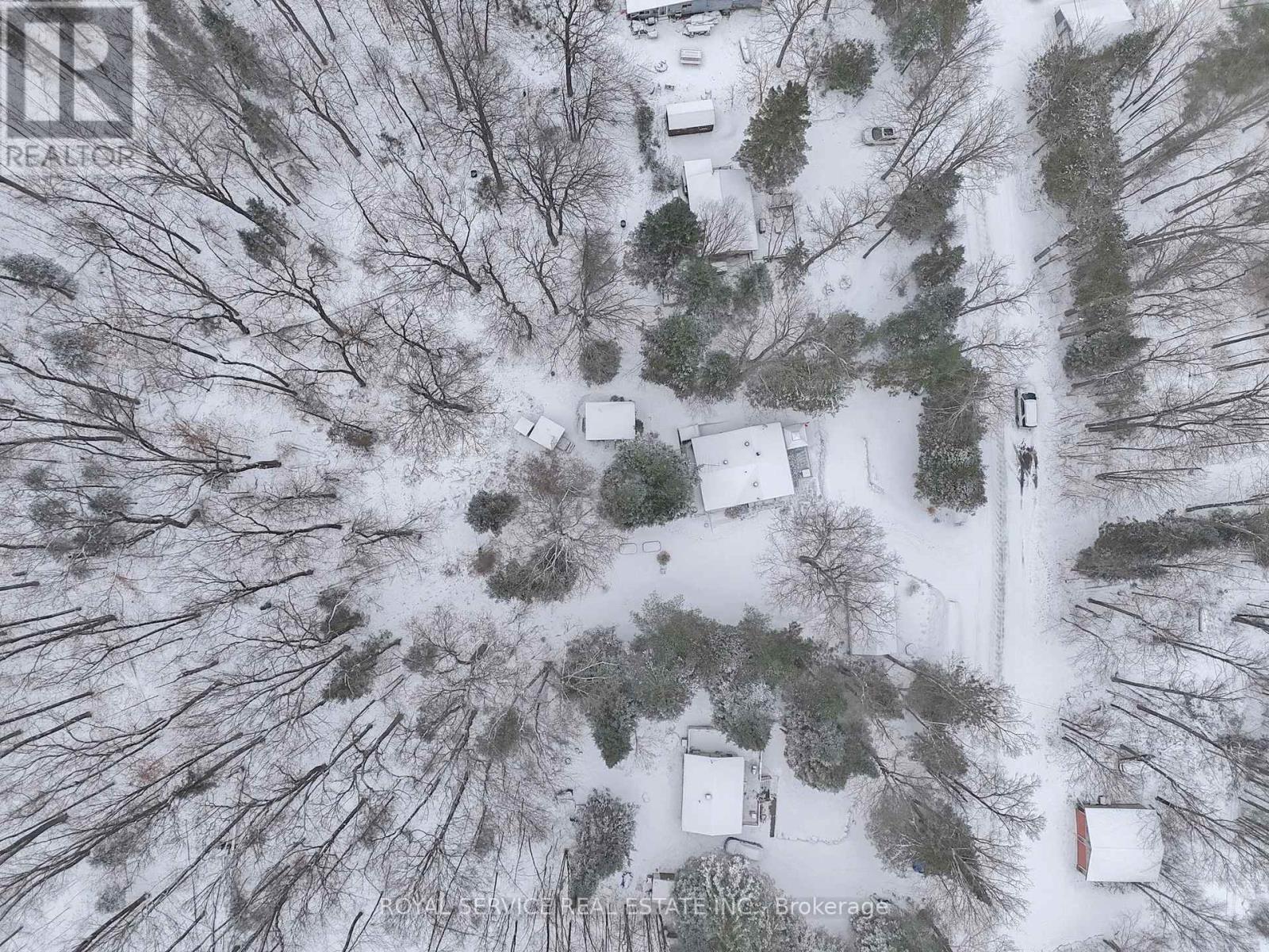 1039 Grace River Road, Highlands East (Monmouth), Ontario  K0L 3C0 - Photo 5 - X12536296