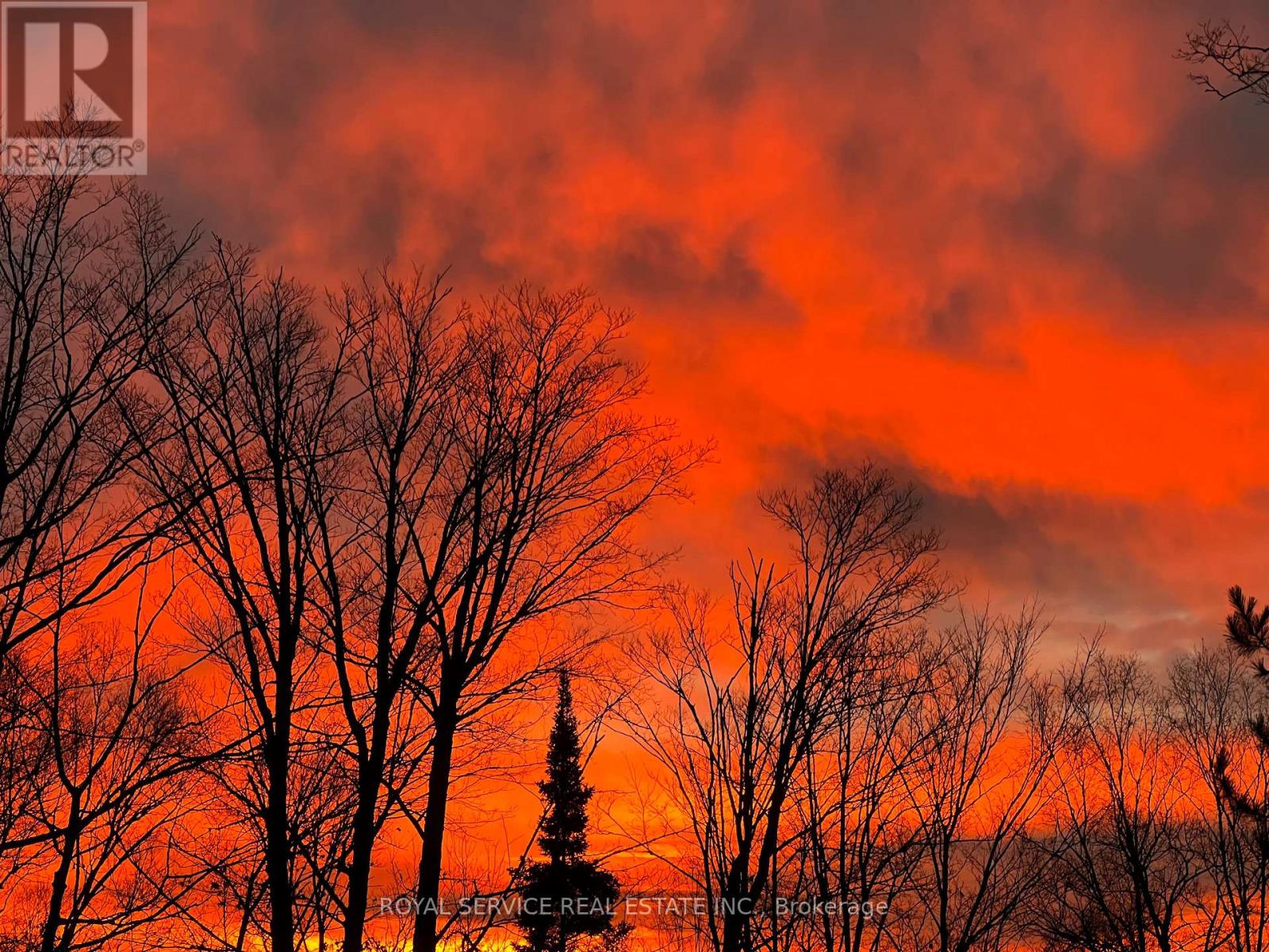 1039 Grace River Road, Highlands East (Monmouth), Ontario  K0L 3C0 - Photo 7 - X12536296