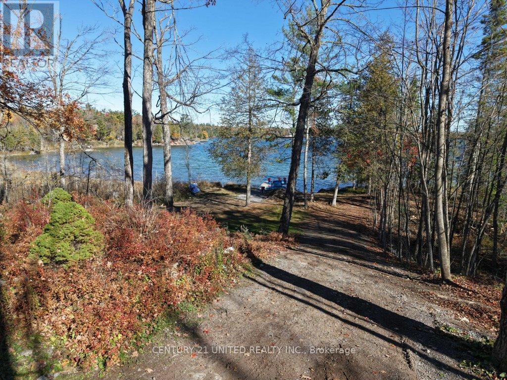 241 Butler Drive, North Kawartha, Ontario  K0L 3E0 - Photo 34 - X12536376