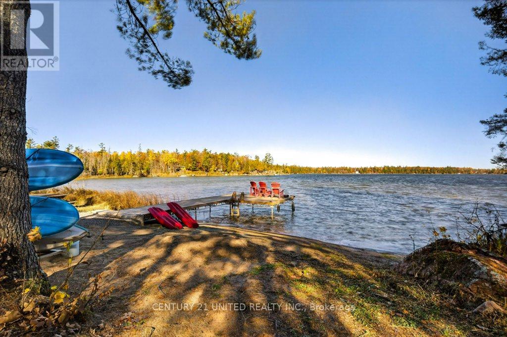 241 Butler Drive, North Kawartha, Ontario  K0L 3E0 - Photo 41 - X12536376