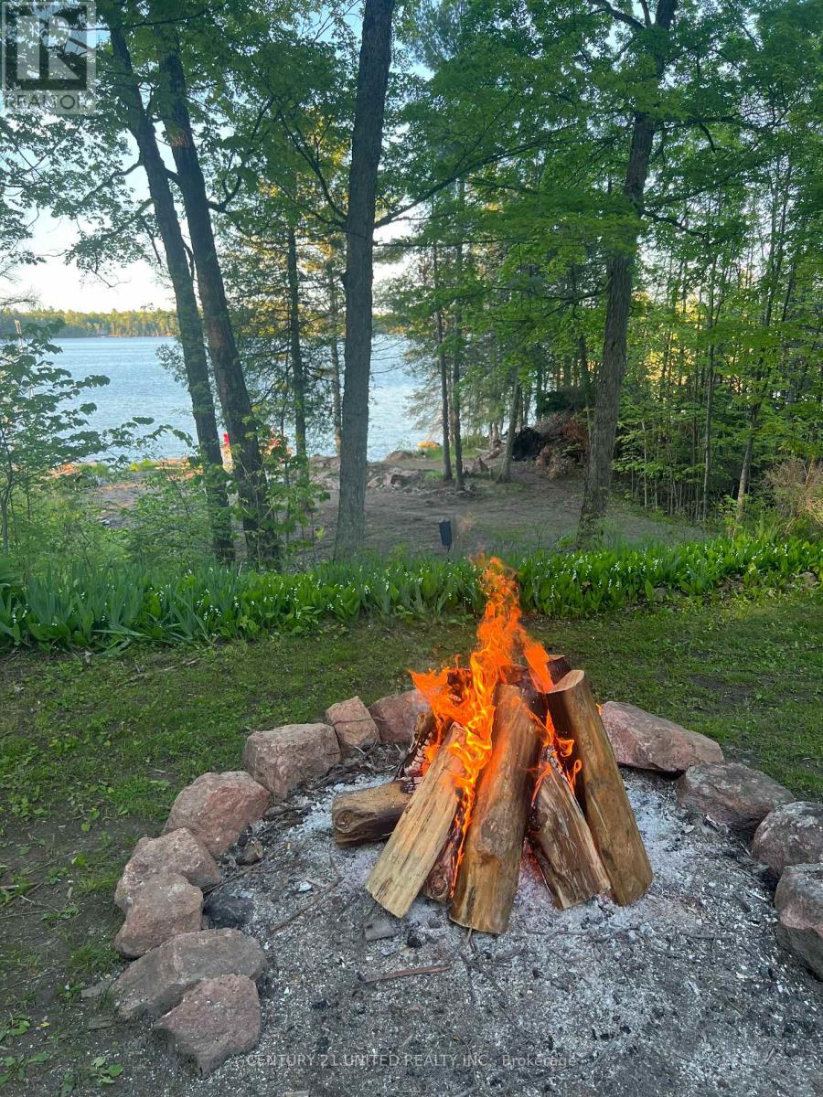 241 Butler Drive, North Kawartha, Ontario  K0L 3E0 - Photo 46 - X12536376