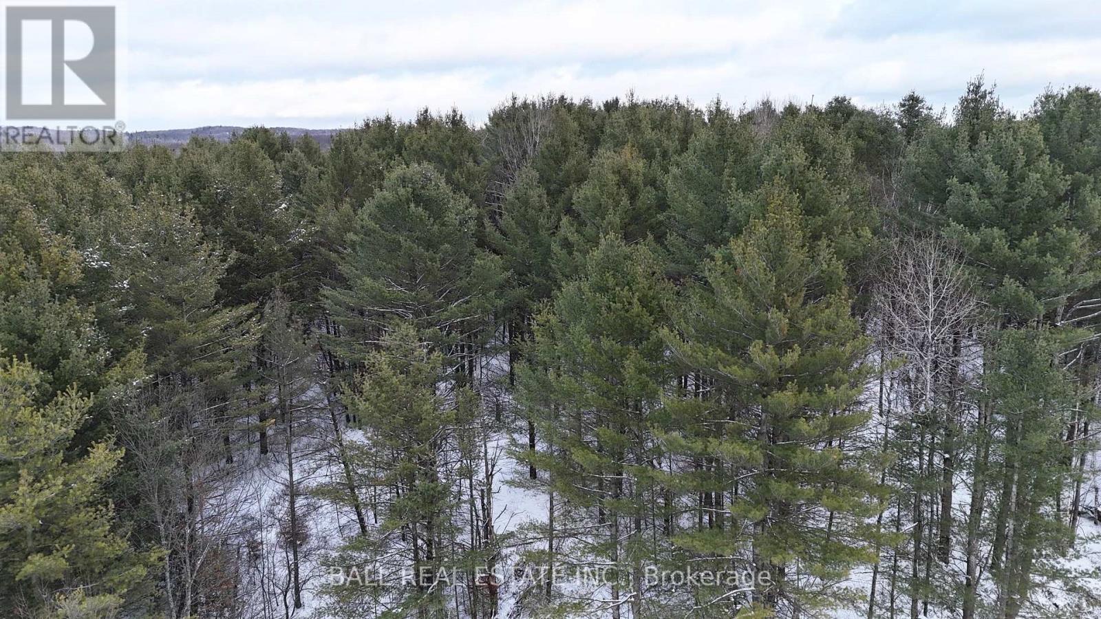 0 Highway 62 S, Bancroft (Dungannon Ward), Ontario  K0L 1C0 - Photo 3 - X12537160