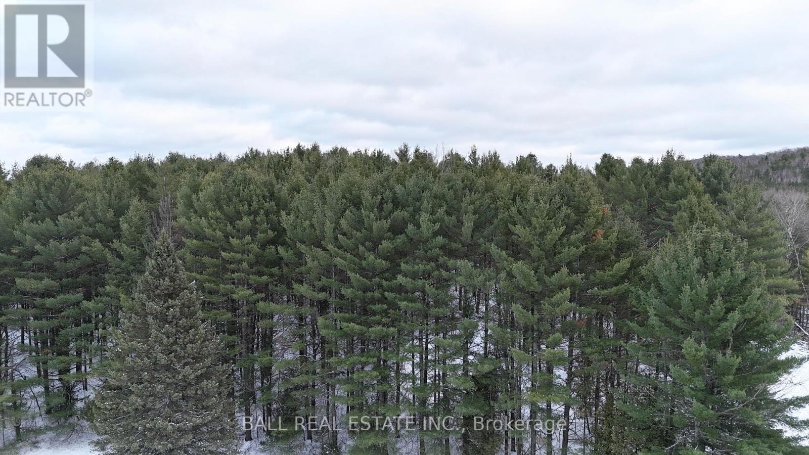 0 Highway 62 S, Bancroft (Dungannon Ward), Ontario  K0L 1C0 - Photo 4 - X12537160