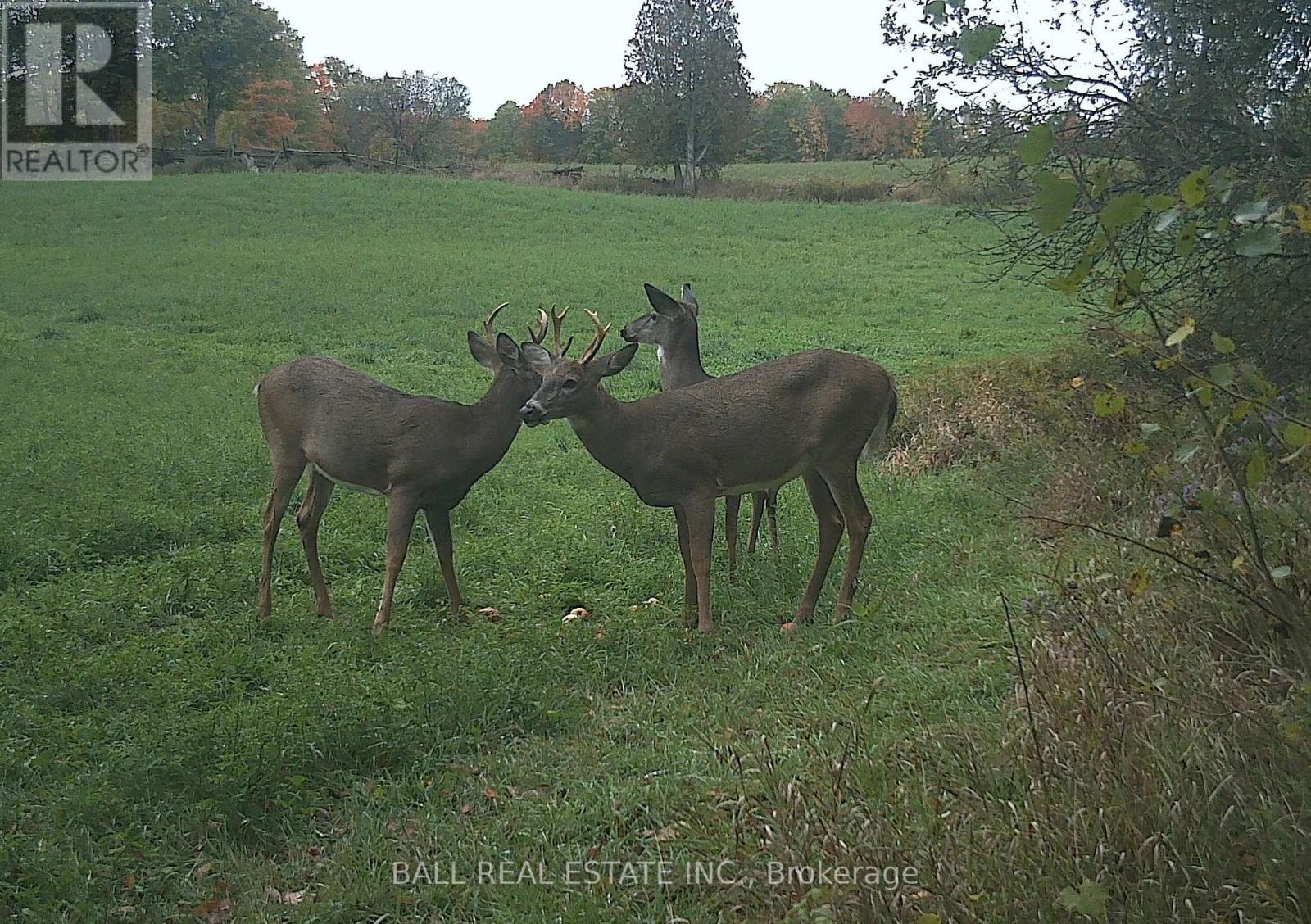 496 4th Line S, Douro-Dummer, Ontario  K0L 3A0 - Photo 47 - X12538050