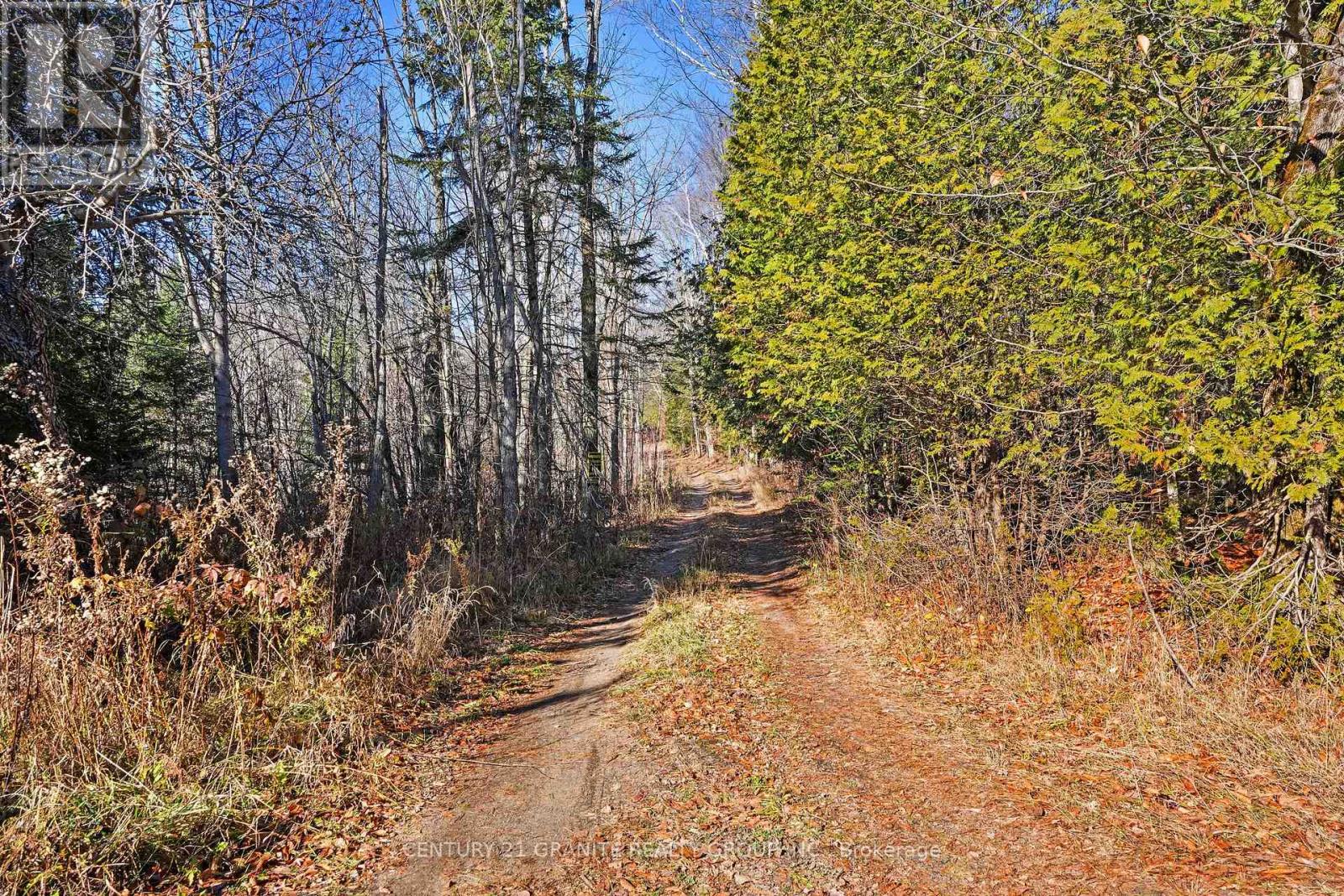 790 Mcdonald Mine Road, Hastings Highlands (Monteagle Ward), Ontario  K0L 1C0 - Photo 10 - X12544326