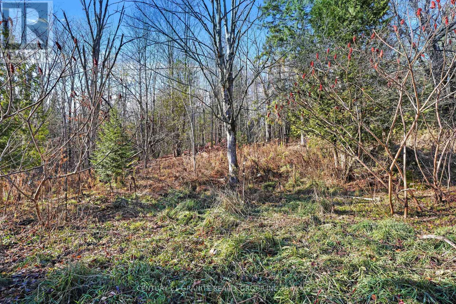 790 Mcdonald Mine Road, Hastings Highlands (Monteagle Ward), Ontario  K0L 1C0 - Photo 11 - X12544326