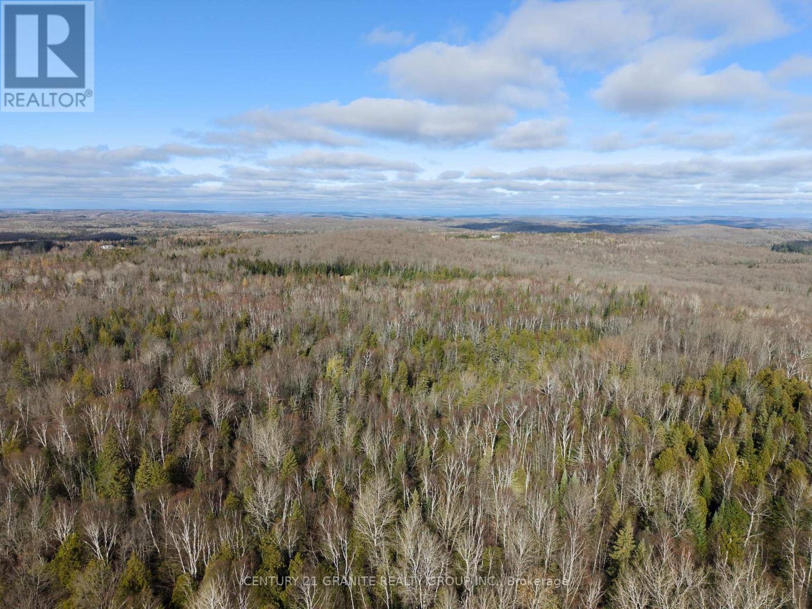 790 Mcdonald Mine Road, Hastings Highlands (Monteagle Ward), Ontario  K0L 1C0 - Photo 8 - X12544326