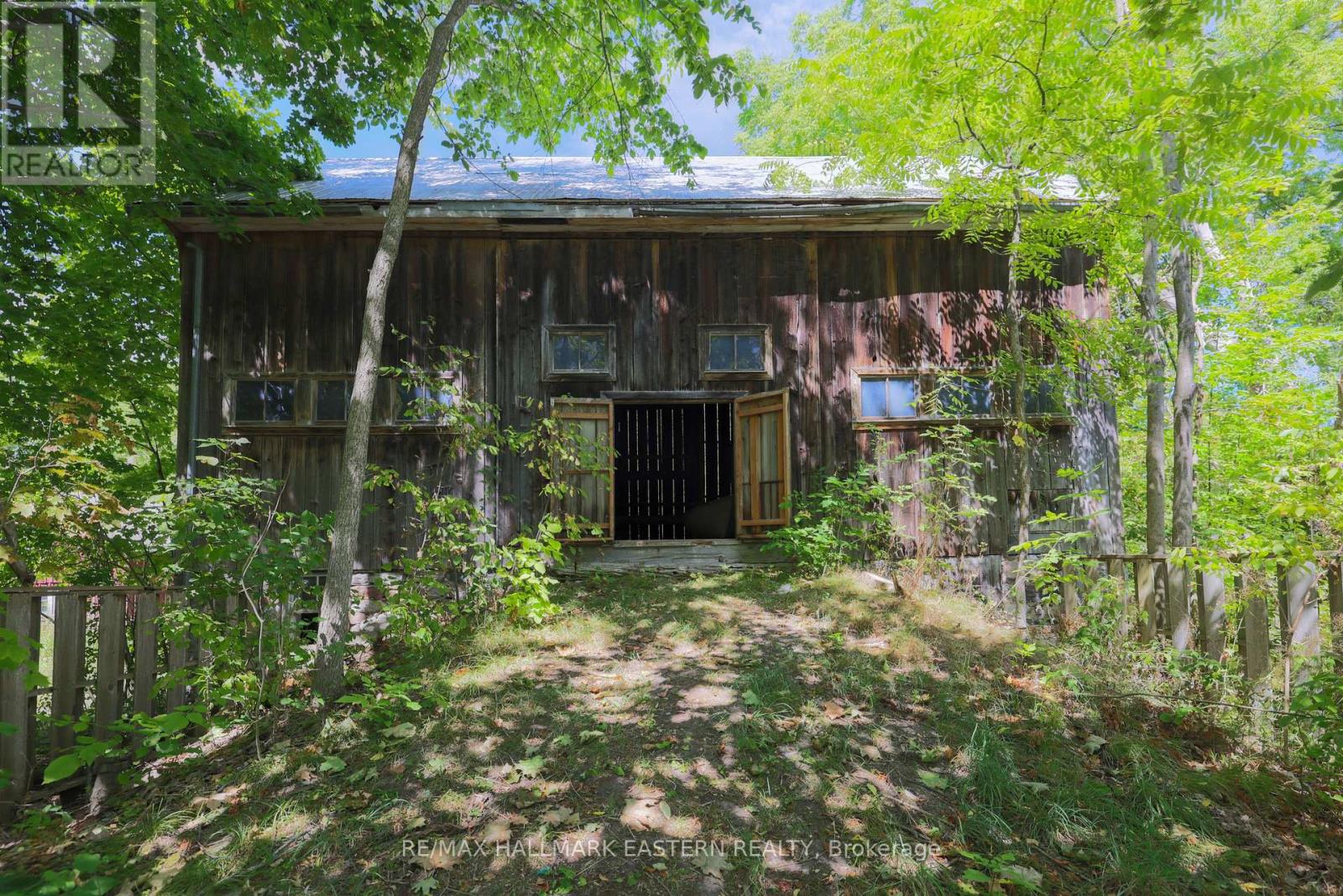 4372 County Road 29, Douro-Dummer, Ontario  K0L 2H0 - Photo 3 - X12546334