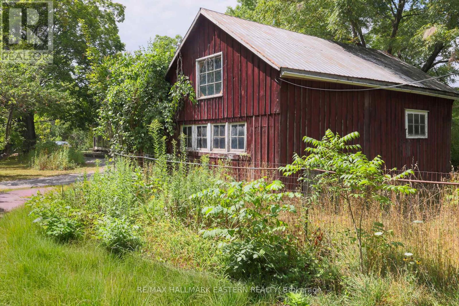 4372 County Road 29, Douro-Dummer, Ontario  K0L 2H0 - Photo 30 - X12546334