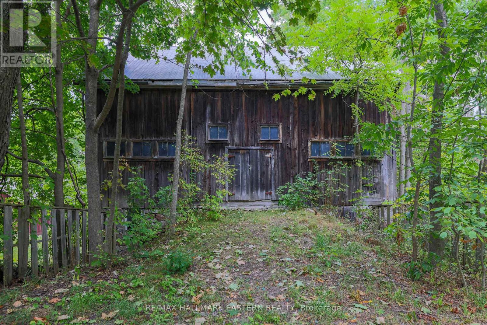 4372 County Road 29, Douro-Dummer, Ontario  K0L 2H0 - Photo 31 - X12546334