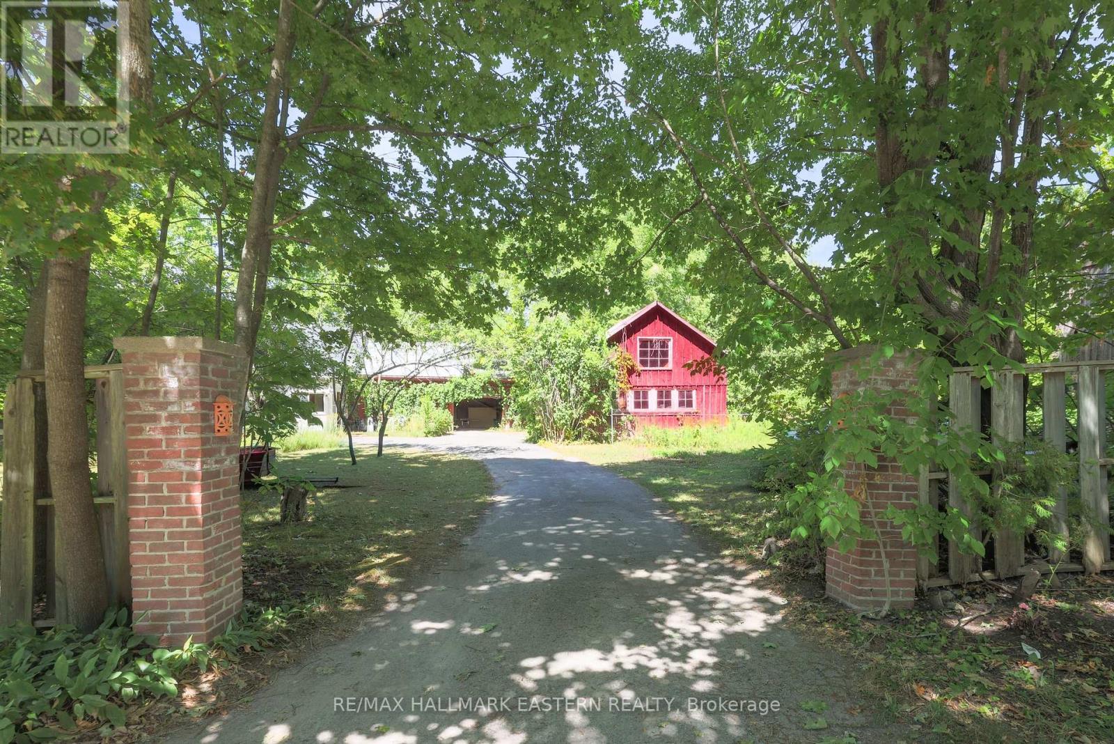 4372 County Road 29, Douro-Dummer, Ontario  K0L 2H0 - Photo 41 - X12546334