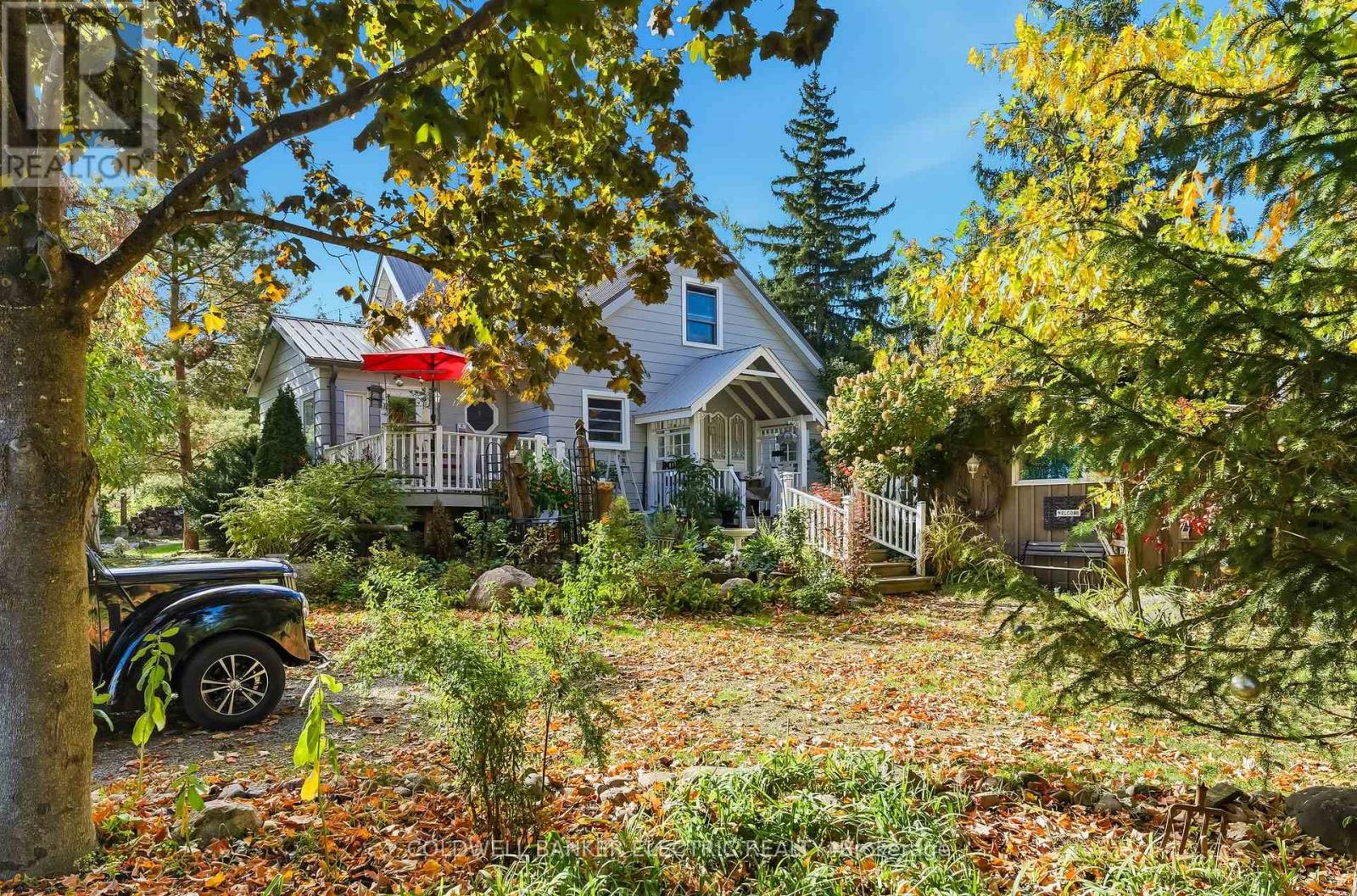 994 County Rd 19 Road, Selwyn, Ontario  K9J 6X2 - Photo 19 - X12547726