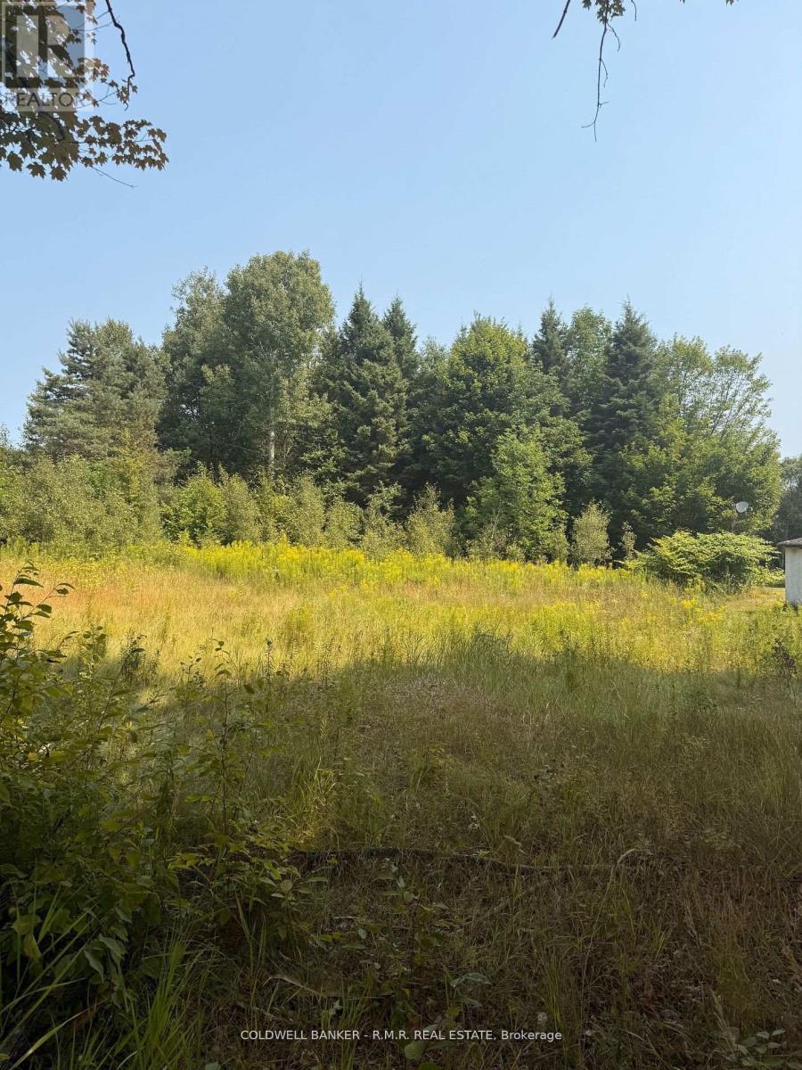 3995 Boulter Road, Hastings Highlands (Wicklow Ward), Ontario  K0L 1C0 - Photo 2 - X12550378