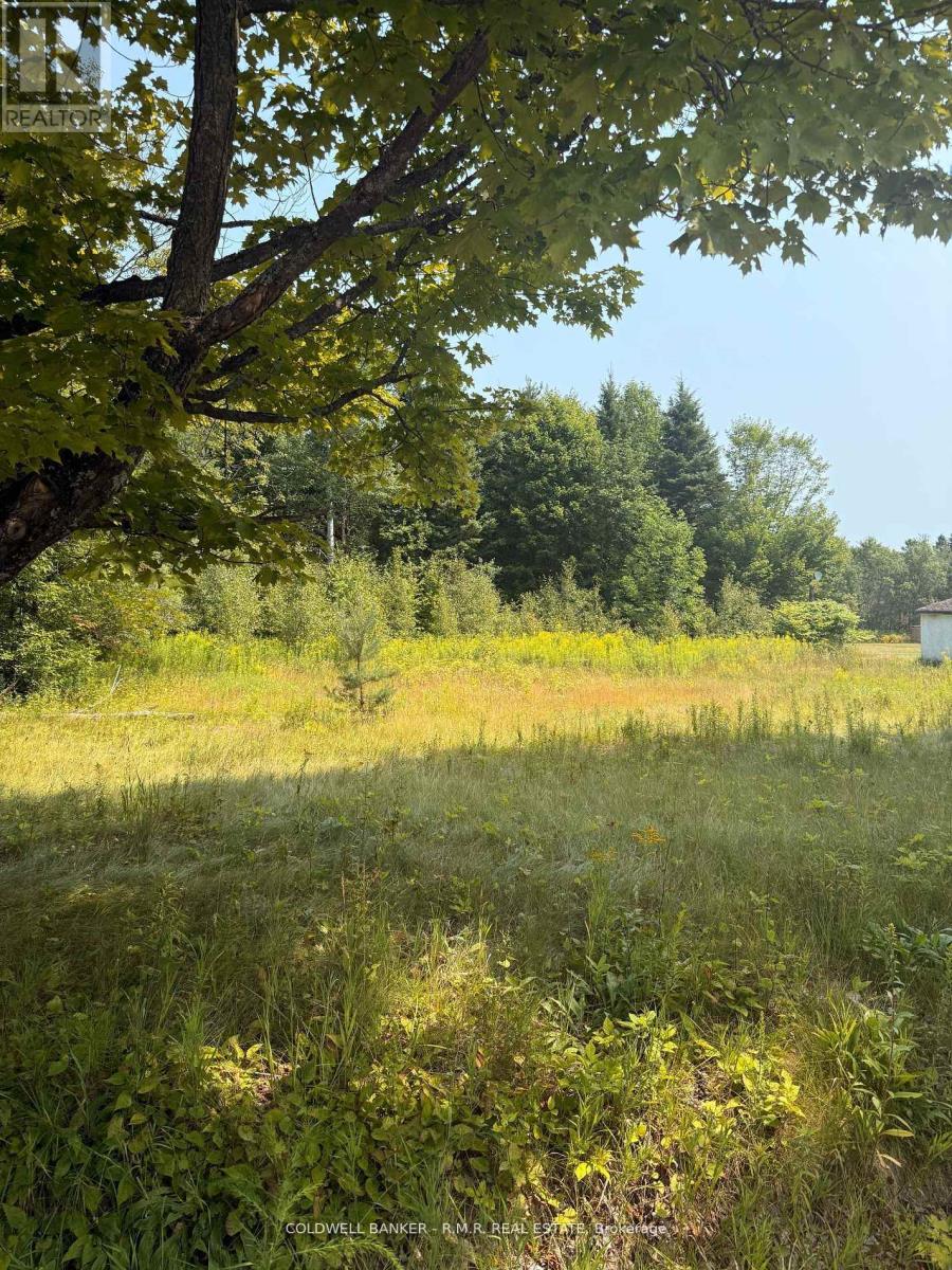 3995 Boulter Road, Hastings Highlands (Wicklow Ward), Ontario  K0L 1C0 - Photo 3 - X12550378