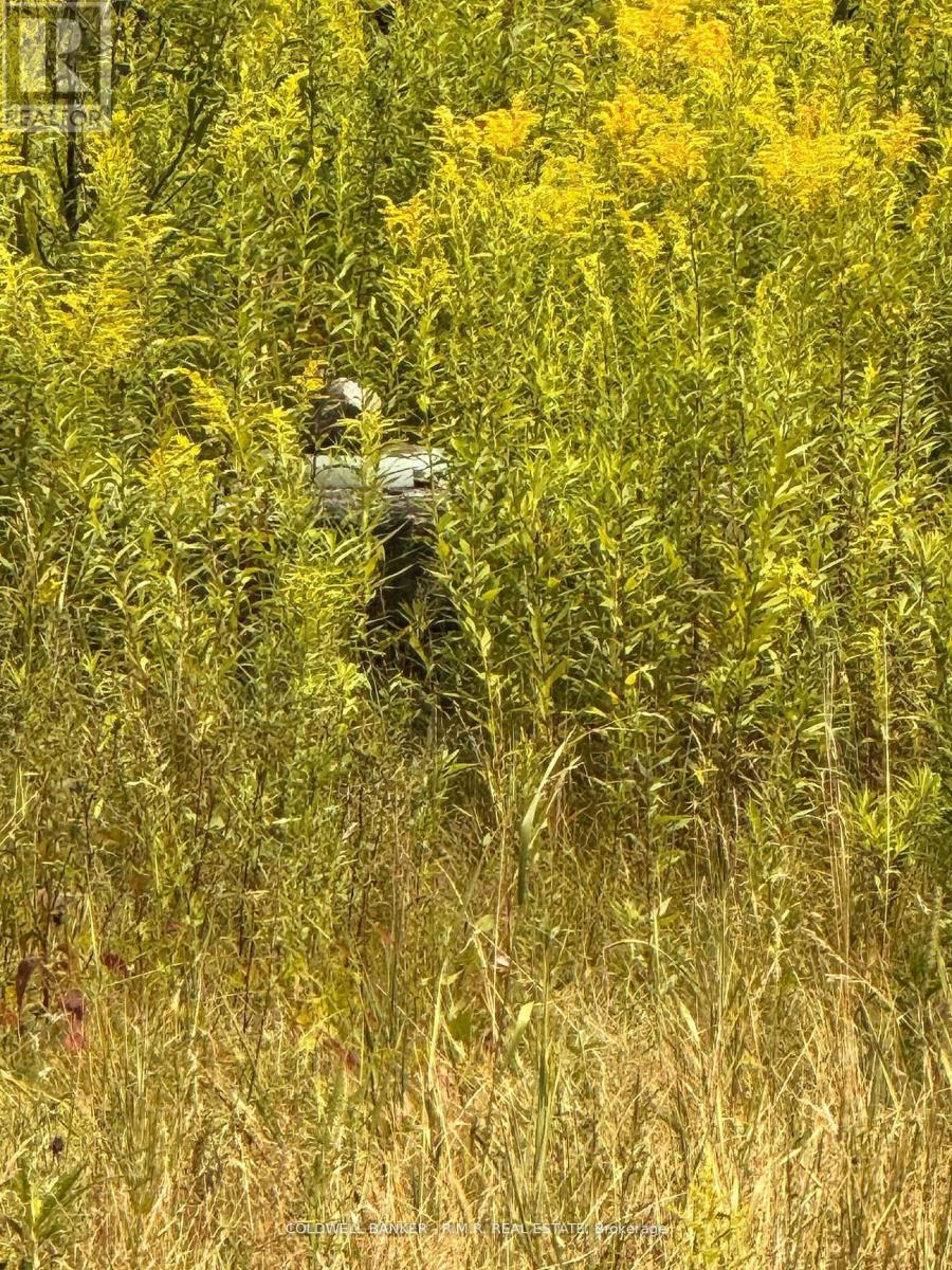 3995 Boulter Road, Hastings Highlands (Wicklow Ward), Ontario  K0L 1C0 - Photo 4 - X12550378