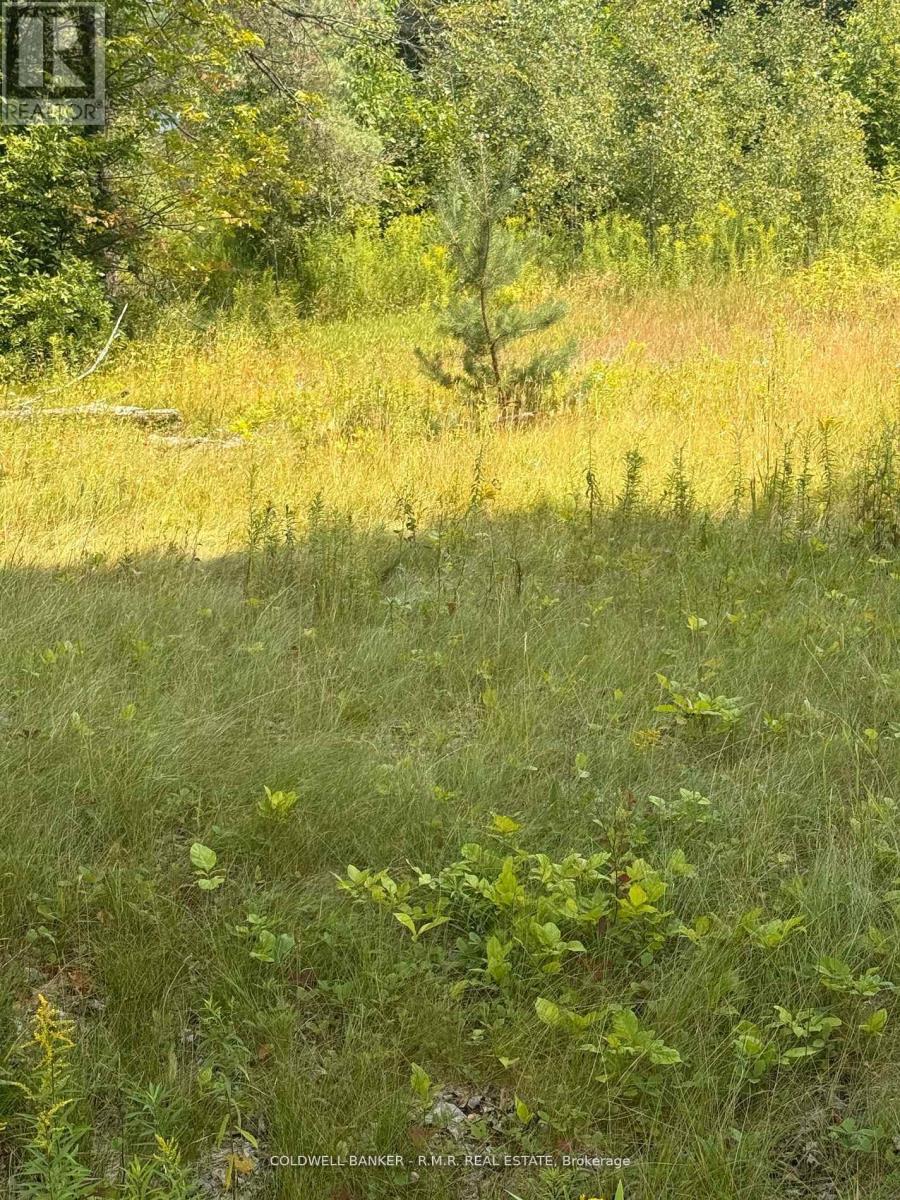 3995 Boulter Road, Hastings Highlands (Wicklow Ward), Ontario  K0L 1C0 - Photo 5 - X12550378