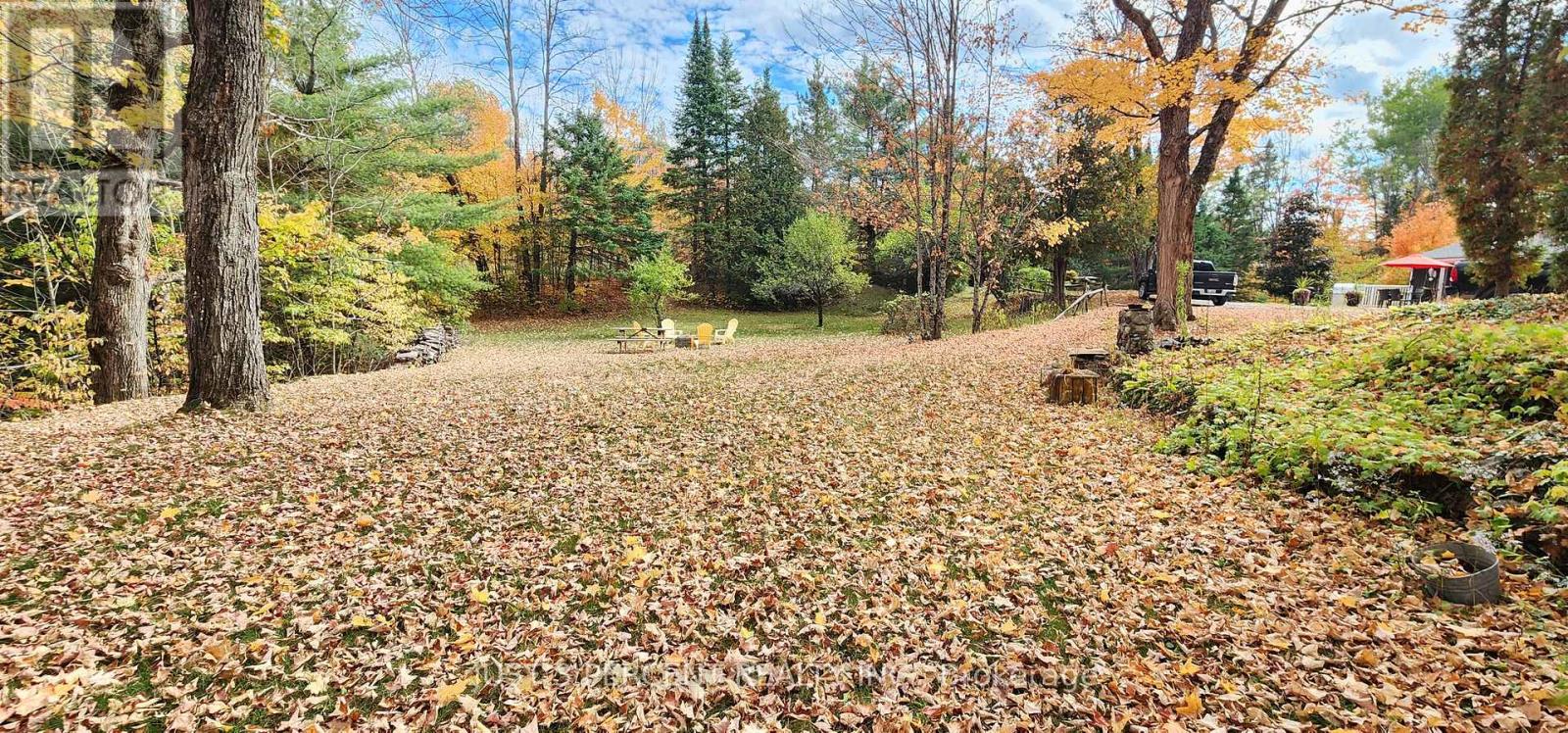 1492 County Rd 620 Road, North Kawartha, Ontario  K0L 1A0 - Photo 36 - X12551860