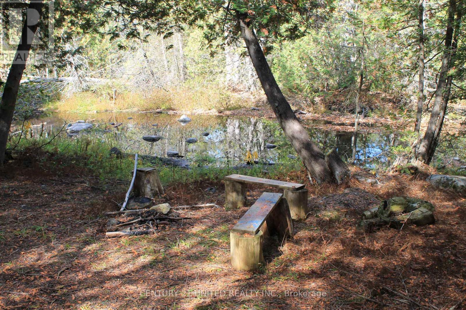 257 10th Line Rd South Dummer Road, Douro-Dummer, Ontario  K0L 2V0 - Photo 11 - X12552588