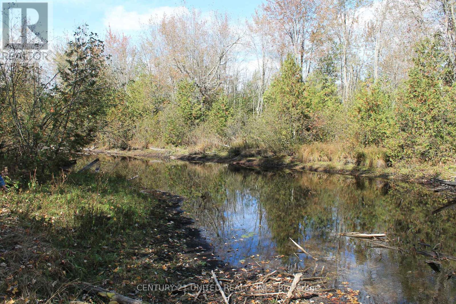 257 10th Line Rd South Dummer Road, Douro-Dummer, Ontario  K0L 2V0 - Photo 12 - X12552588